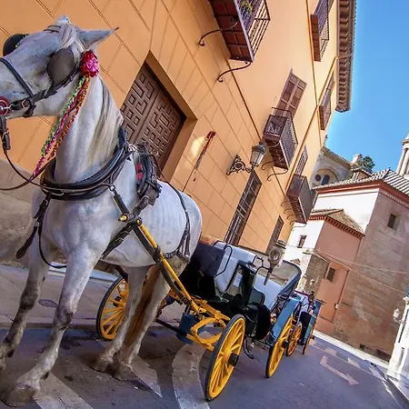 Conmigo Bed & Breakfast Alhaurin de la Torre